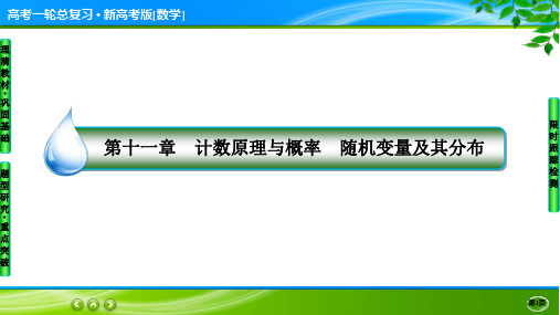 名师伴你行高考一轮总复习新高考版[数学] 11-3