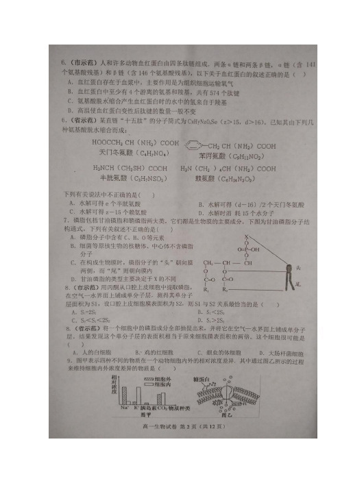 安徽省六安市舒城县2017-2018学年高一上学期期末质检生物试题