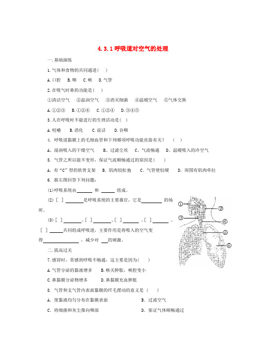 七年级生物下册 4.3.1 呼吸道对空气的处理练习 (新版)新人教版