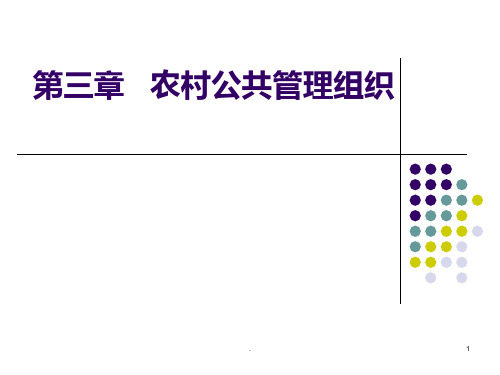 第三章-农村公共管理组织PPT课件