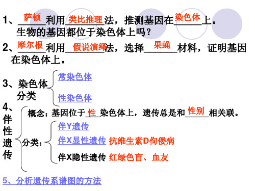 高三第一轮复习伴性遗传_PPT幻灯片