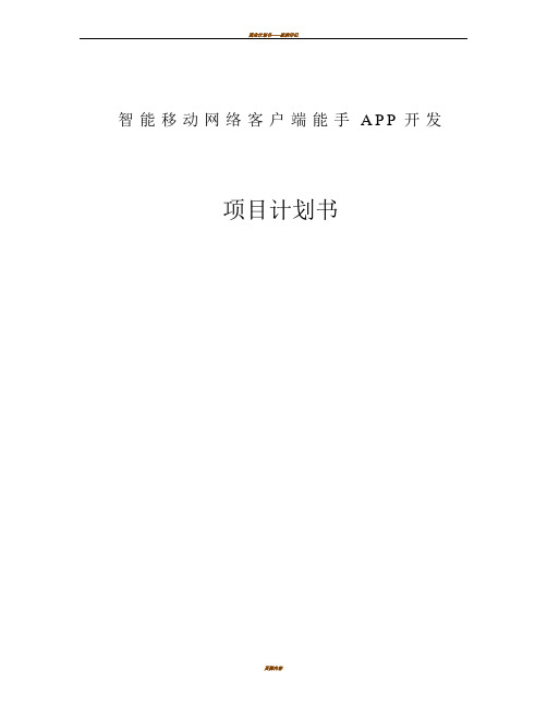 APP项目开发商业计划书