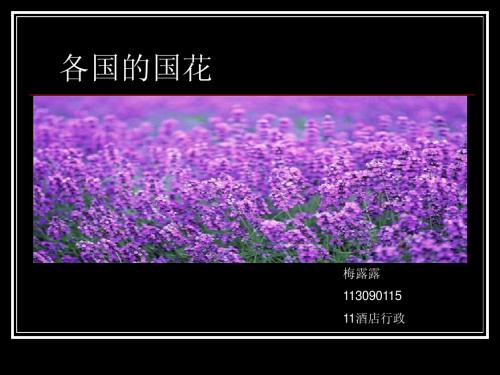 各国国花
