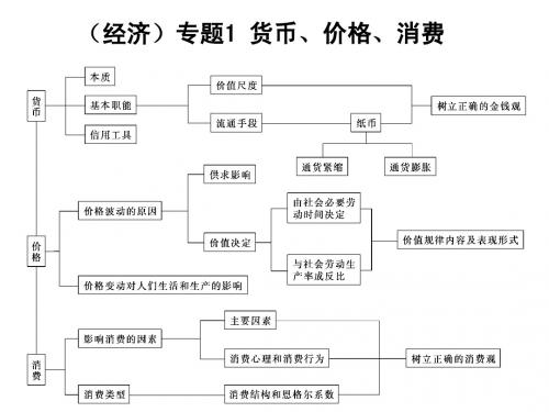 高考政治二轮复习《经济》专题1 货币、价格、消费