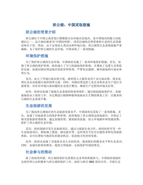 班公湖中国采取措施