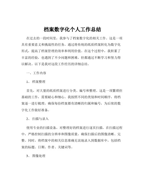 档案数字化个人工作总结