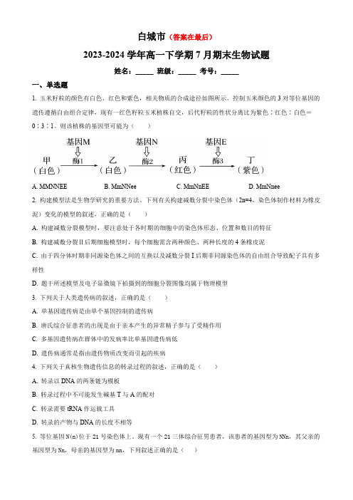 吉林省白城市2023-2024学年高一下学期7月期末考试 生物含答案