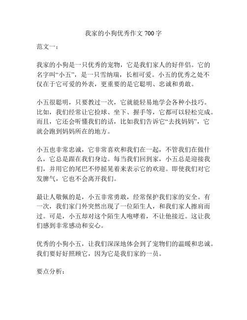 我家的小狗优秀作文700字