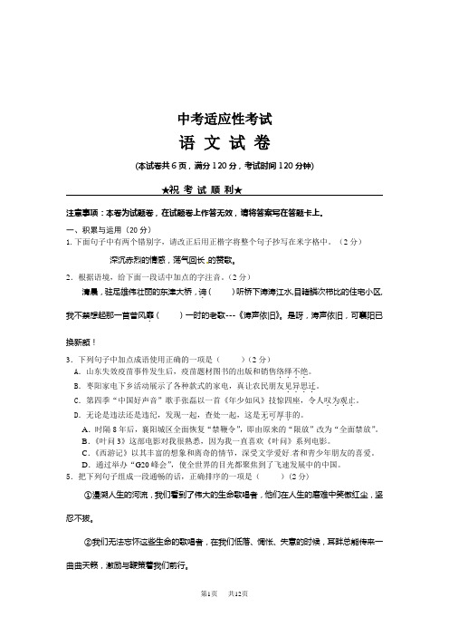 中考适应性考试语文试题含答案解析  