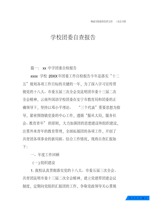 学校团委自查报告