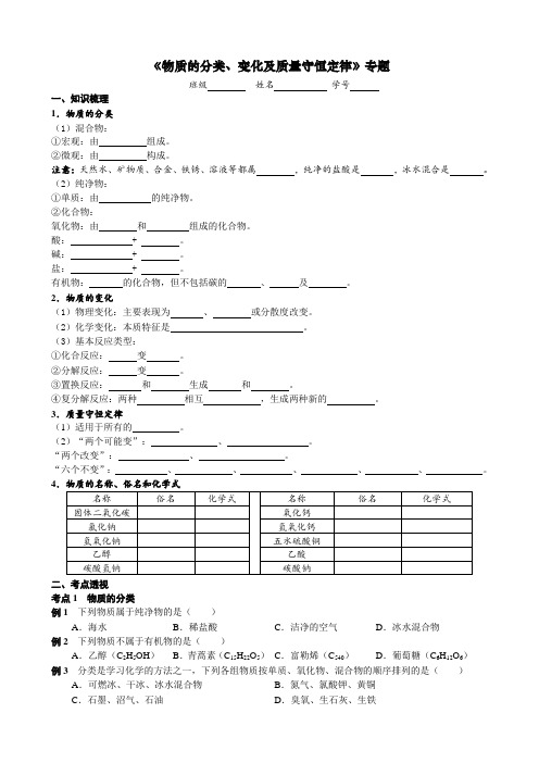 物质的分类、变化及质量守恒定律考点测试 2021年中考化学专题复习