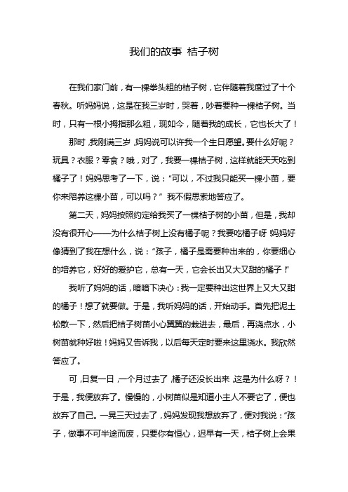 我们的故事 桔子树