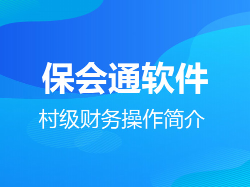 财务软件操作流程(ppt 39页)