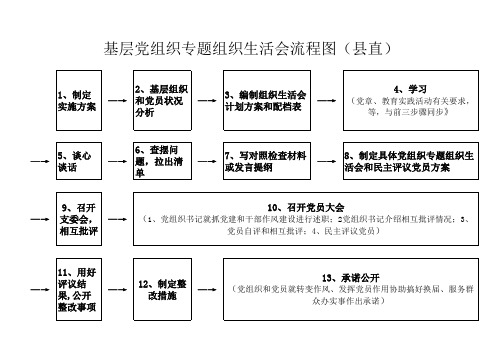 专题民主生活会流程图(县直)