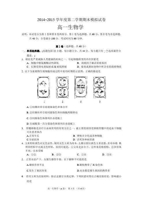 2014~2015学年度第二学期期末模拟试卷高一生物学