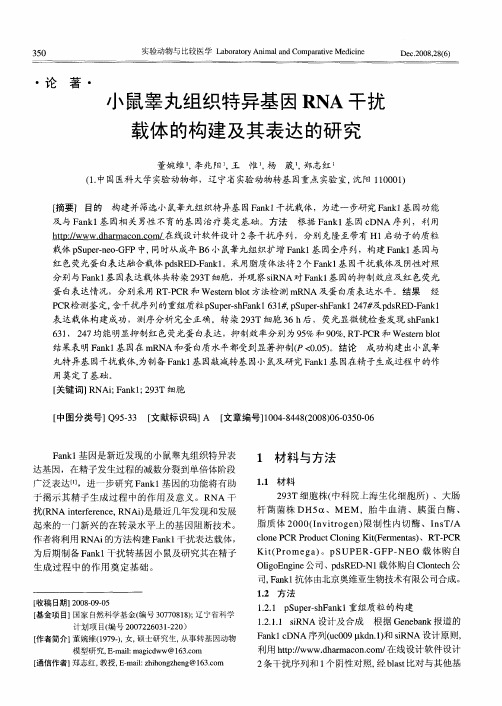 小鼠睾丸组织特异基因RNA干扰载体的构建及其表达的研究