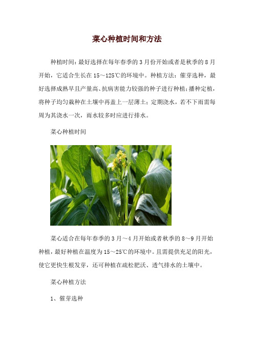 菜心种植时间和方法