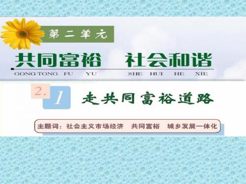 粤教版九年级思想品德课件:2.1走共同富裕道路 (共36张PPT)