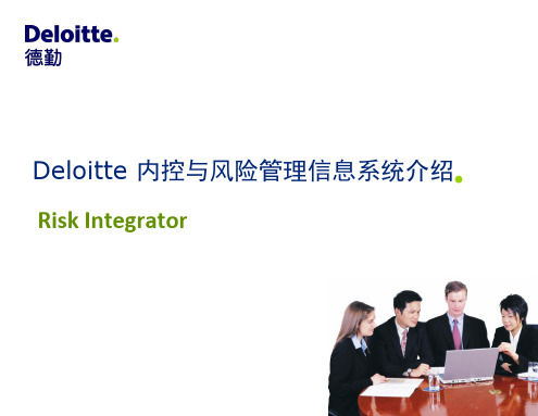 德勤Risk_Integrator_ORM_-_V7