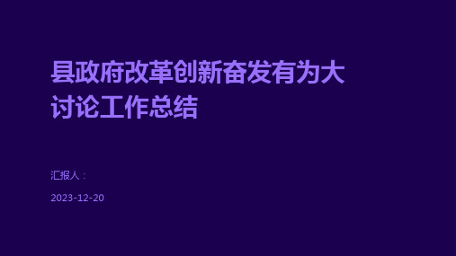 县政府改革创新奋发有为大讨论工作总结