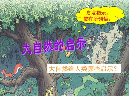 《大自然的启示》ppt 人教版四年级语文下册