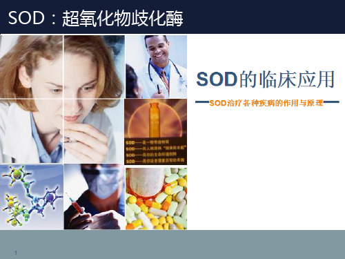 超氧化物歧化酶(SOD)临床应用—(SOD治疗各种疾病作用与原理)