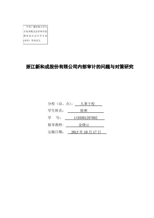 浙江新和成股份有限公司内部审计的问题与对策研究