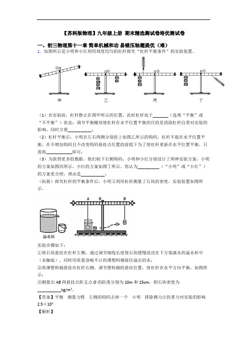 【苏科版物理】九年级上册 期末精选测试卷培优测试卷