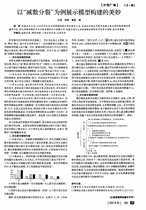 以“减数分裂”为例展示模型构建的美妙