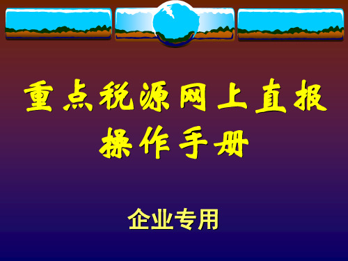 重点税源网上直报操作手册