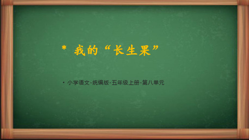 统编语文五年级上册《 我的“长生果”》课件