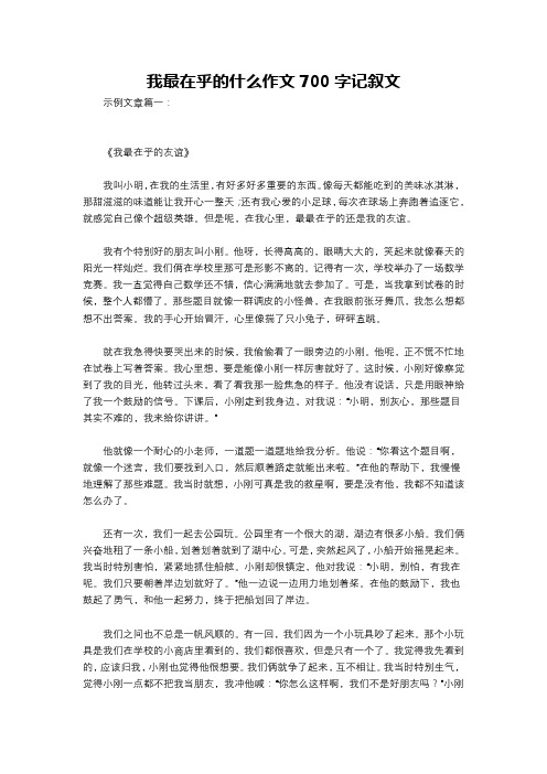 我最在乎的什么作文700字记叙文