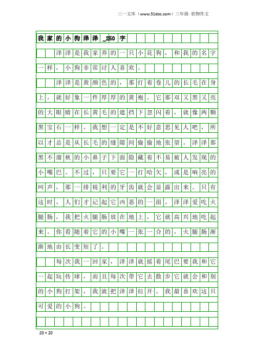 三年级状物作文:我家的小狗泽泽_250字