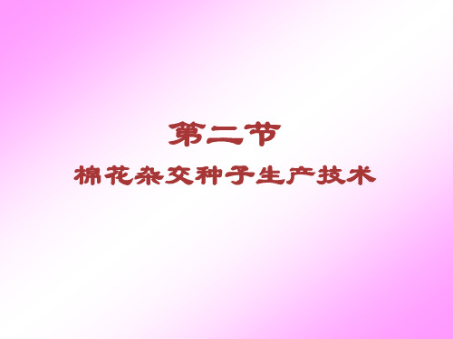 第四章  杂交种子生产(2.棉花)