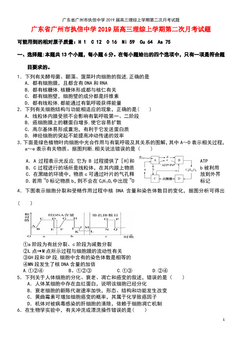广东省广州市执信中学高三理综上学期第二次月考试题(最新整理)