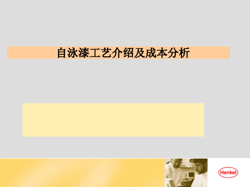 1(工艺介绍)自泳漆涂装工艺介绍
