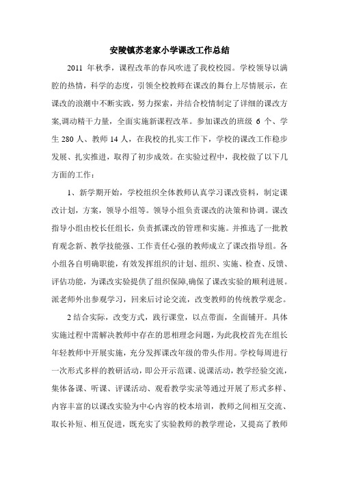 课改总结)