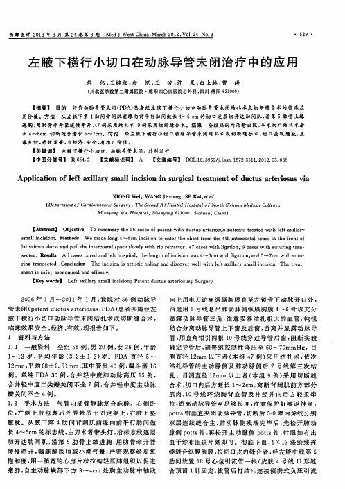 左腋下横行小切口在动脉导管未闭治疗中的应用