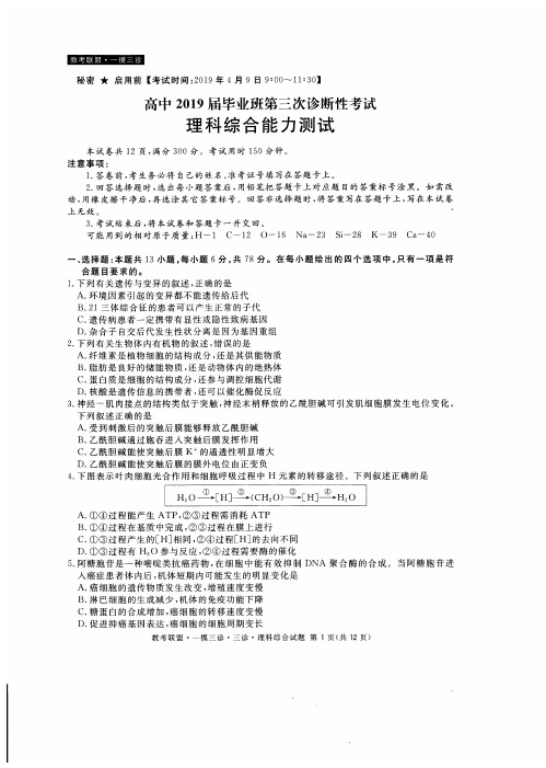 四川省教考联盟2019届高三第三次诊断性考试理科综合试题(含答案)