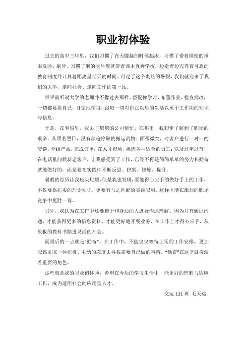 职业初体验
