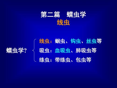 蛔虫鞭虫蛲虫PPT精品医学课件