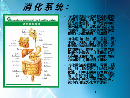 糖尿病并发症-ppt课件