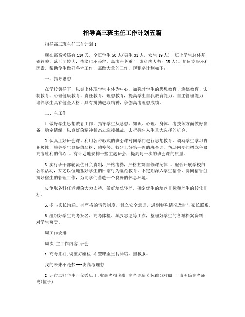 指导高三班主任工作计划五篇