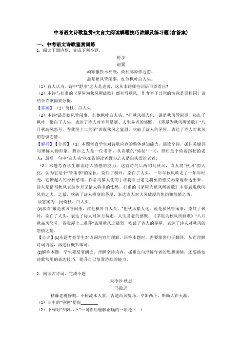 中考语文诗歌鉴赏+文言文阅读解题技巧讲解及练习题(含答案)