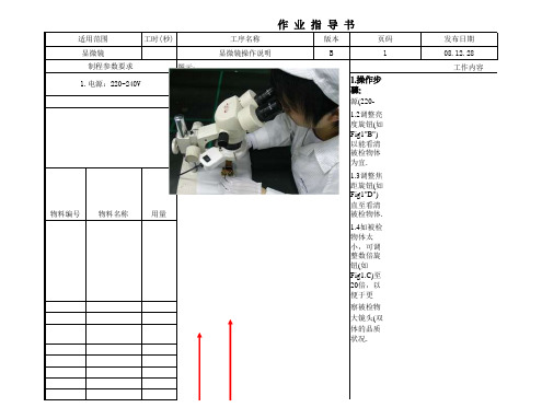 显微镜操作说明