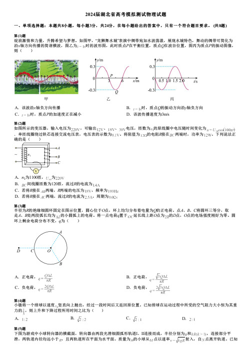 2024届湖北省高考模拟测试物理试题