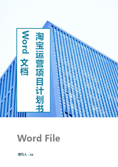 淘宝店运营项目计划书Word文档