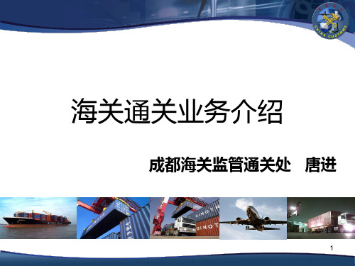 海关通关业务介绍-PPT文档资料