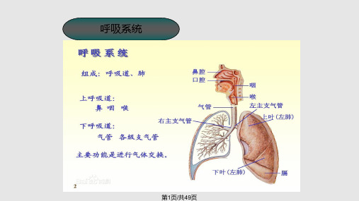 排痰机简介临床PPT课件