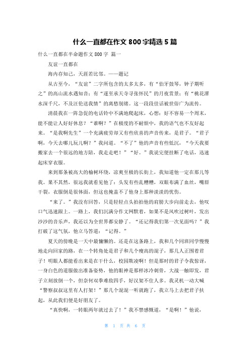 什么一直都在作文800字精选5篇